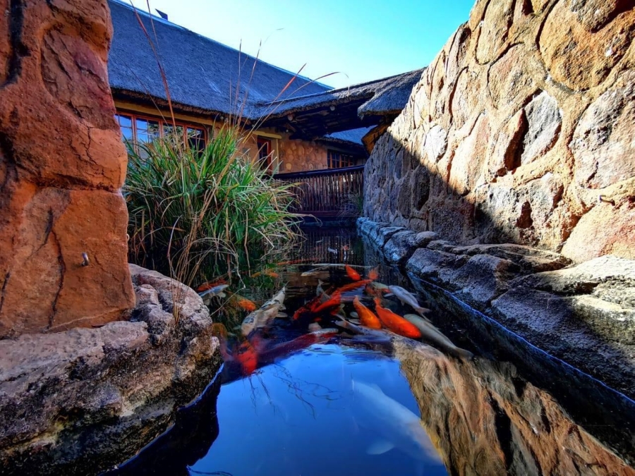 0 Bedroom Property for Sale in Vaalwater Limpopo