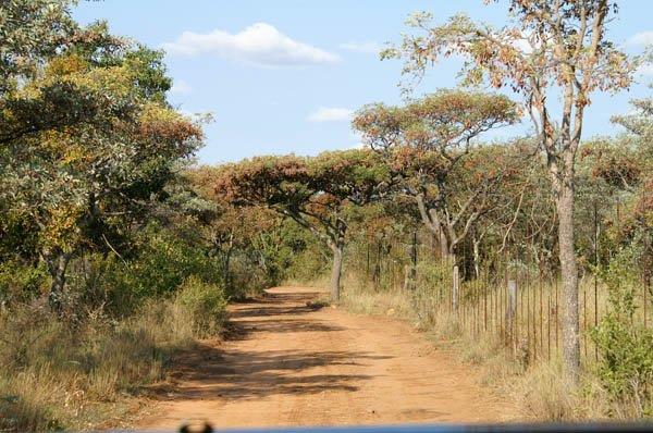 0 Bedroom Property for Sale in Vaalwater Limpopo