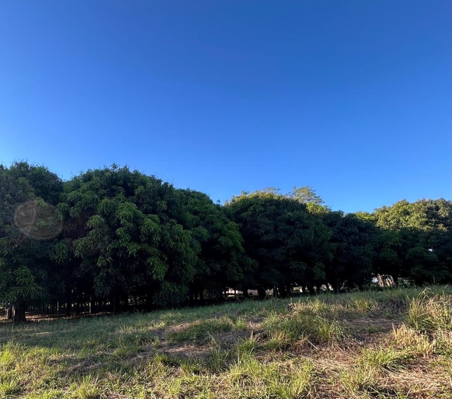 3 Bedroom Property for Sale in Tzaneen Rural Limpopo