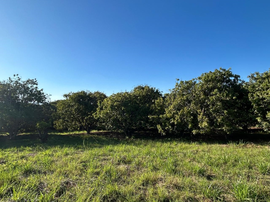 3 Bedroom Property for Sale in Tzaneen Rural Limpopo