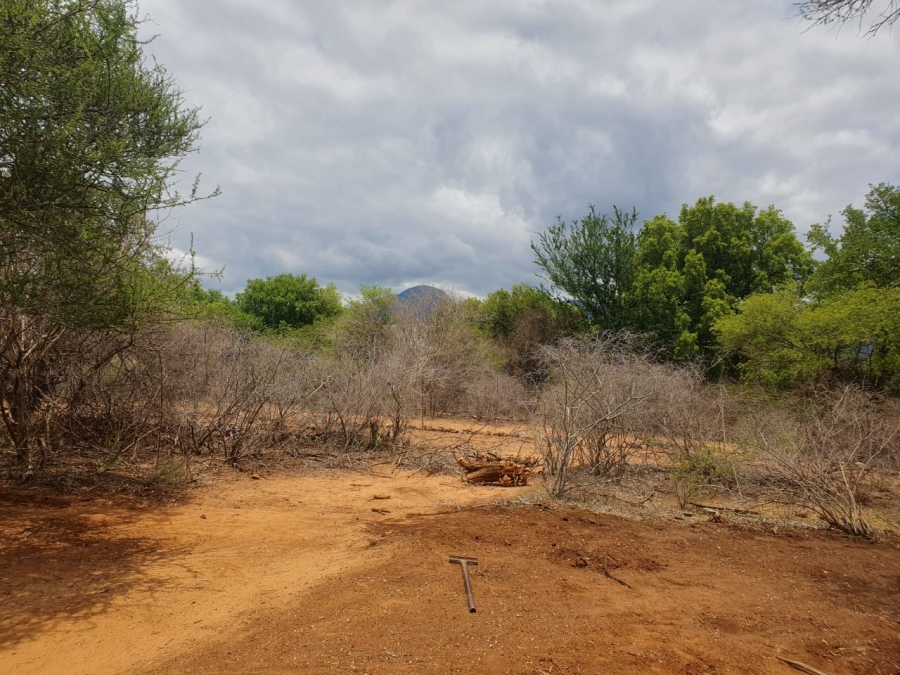 4 Bedroom Property for Sale in Blyde Wildlife Estate Limpopo