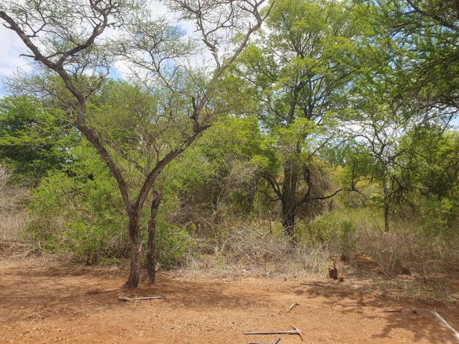 4 Bedroom Property for Sale in Blyde Wildlife Estate Limpopo