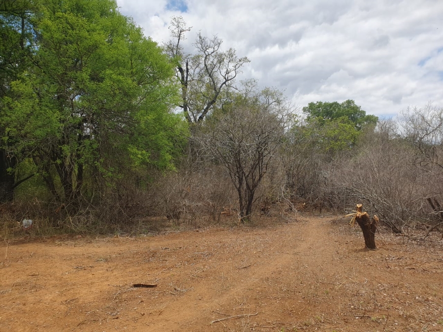 4 Bedroom Property for Sale in Blyde Wildlife Estate Limpopo