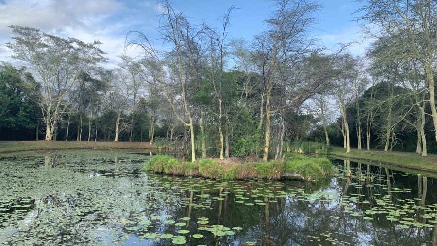 4 Bedroom Property for Sale in Blyde Wildlife Estate Limpopo