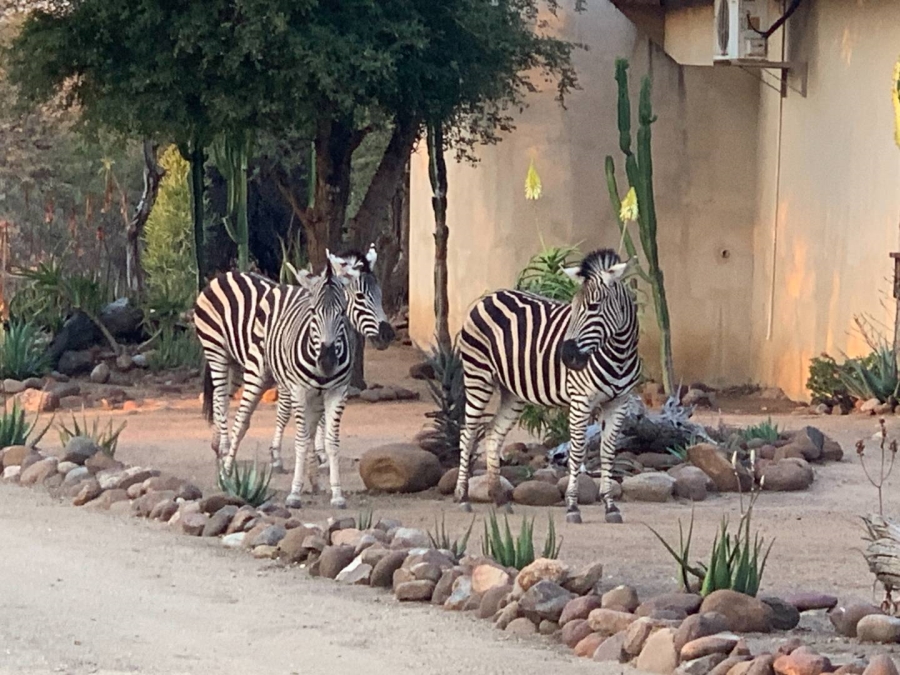 4 Bedroom Property for Sale in Blyde Wildlife Estate Limpopo