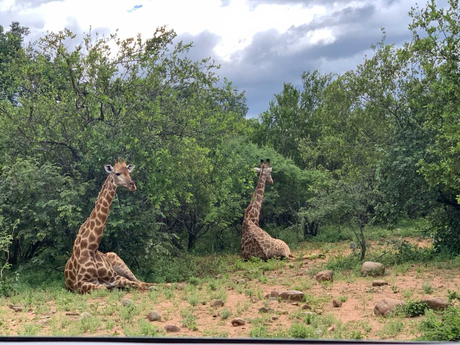 4 Bedroom Property for Sale in Blyde Wildlife Estate Limpopo