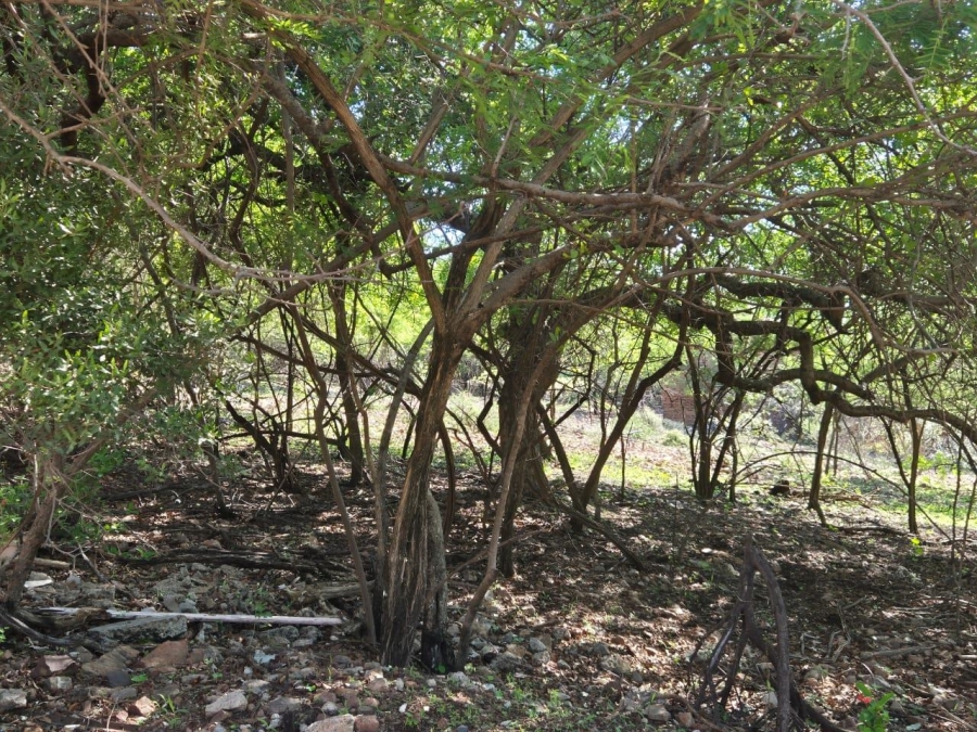 0 Bedroom Property for Sale in Leeupoort Limpopo