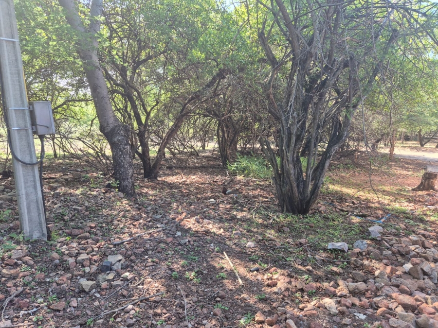 0 Bedroom Property for Sale in Leeupoort Limpopo