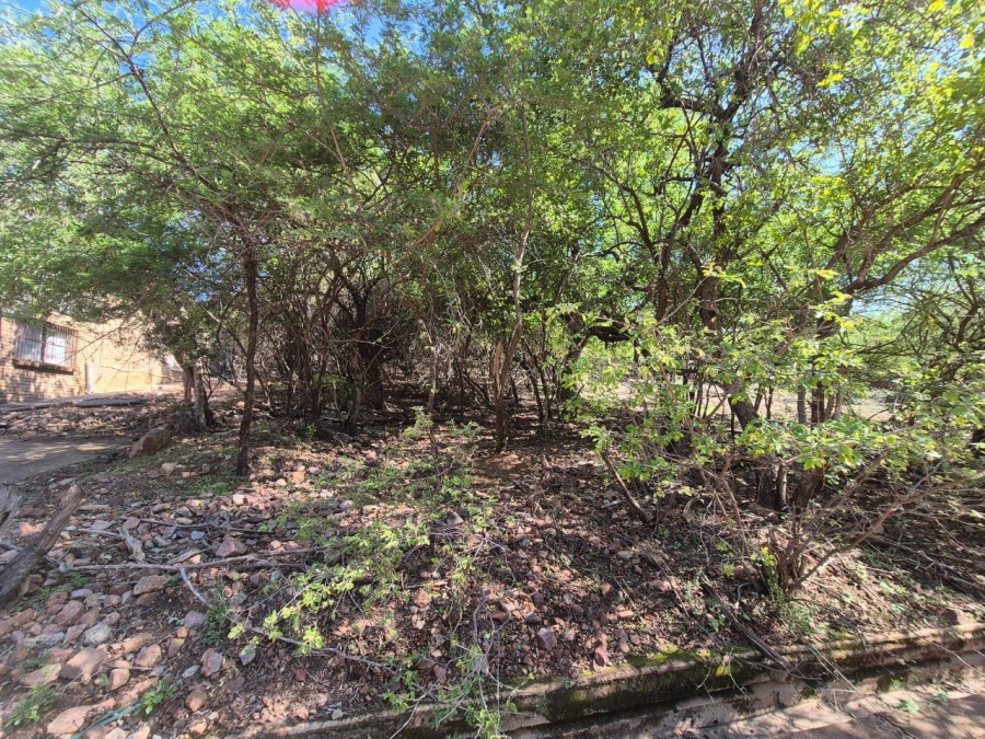 0 Bedroom Property for Sale in Leeupoort Limpopo