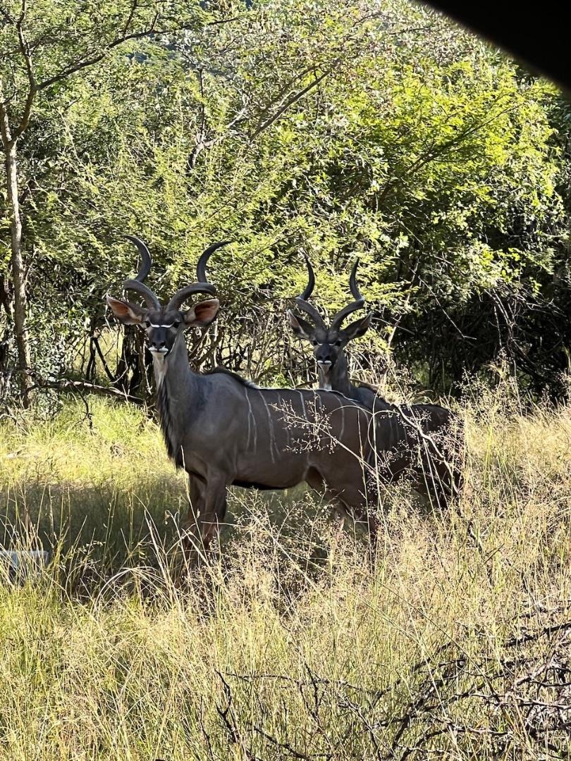 0 Bedroom Property for Sale in Burgersfort Limpopo