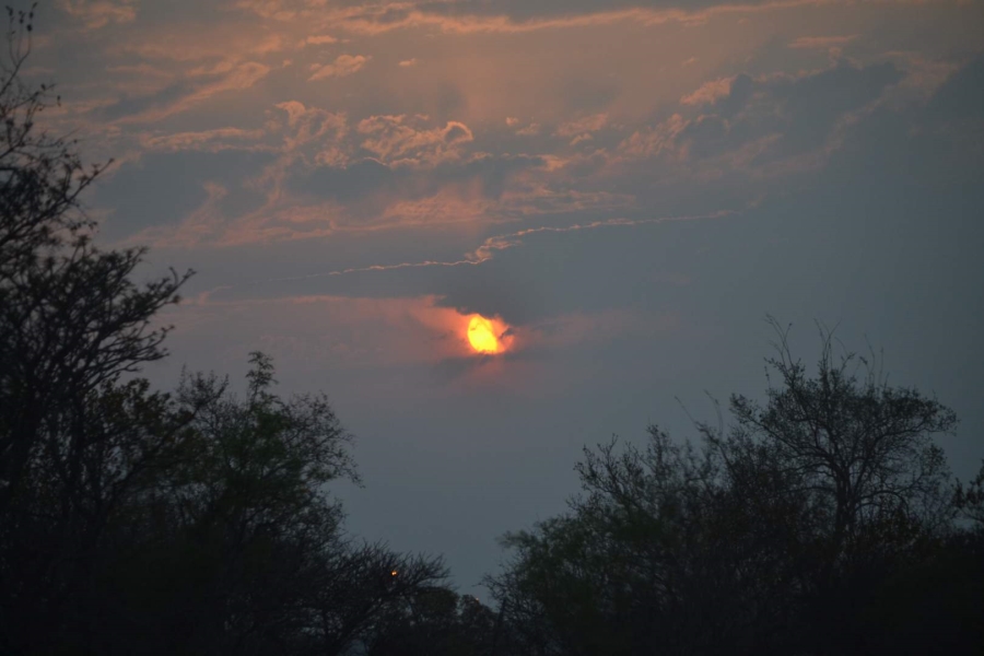 0 Bedroom Property for Sale in Thabazimbi Limpopo