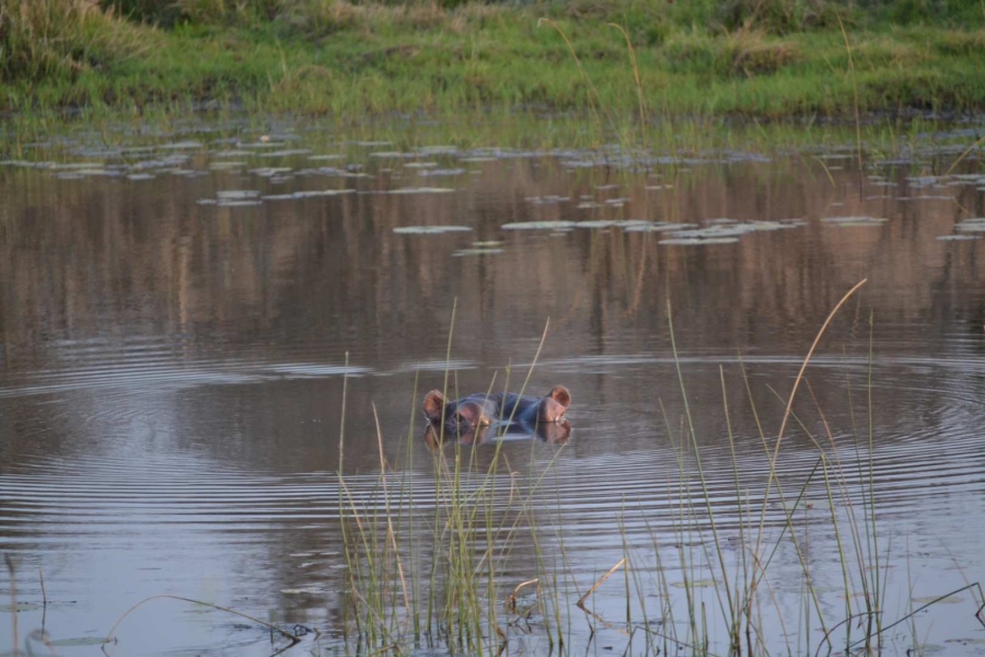 0 Bedroom Property for Sale in Thabazimbi Limpopo