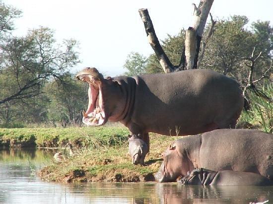 0 Bedroom Property for Sale in Thabazimbi Limpopo