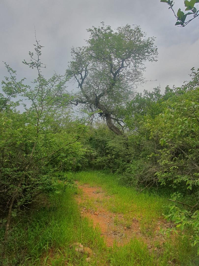 0 Bedroom Property for Sale in Hoedspruit Wildlife Estate Limpopo