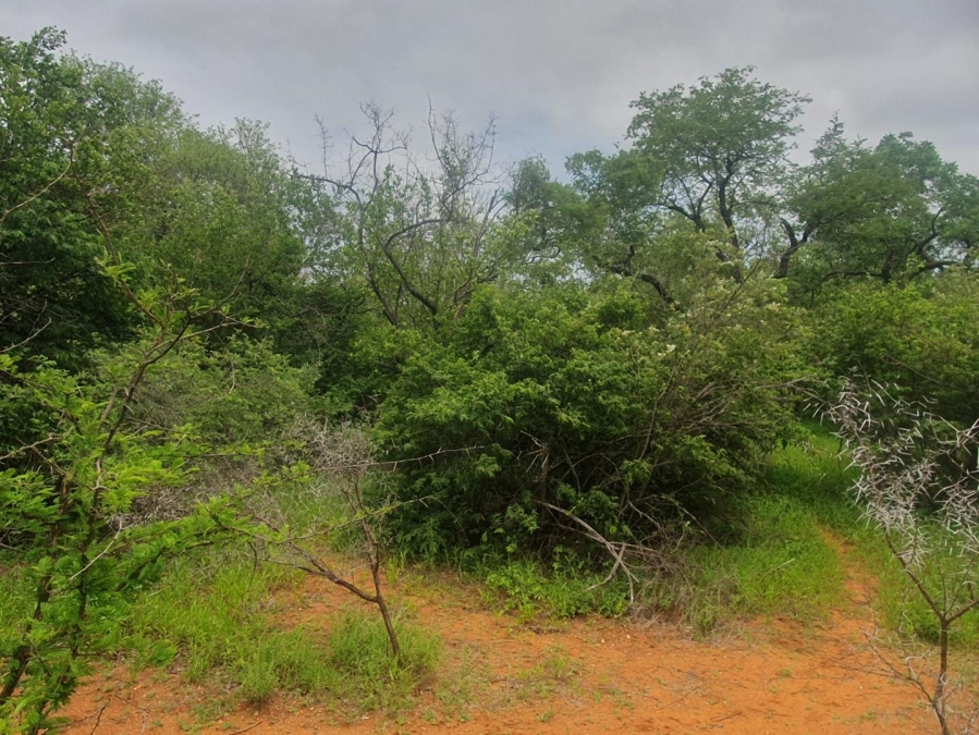 0 Bedroom Property for Sale in Hoedspruit Wildlife Estate Limpopo