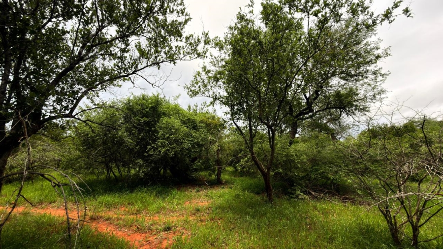 0 Bedroom Property for Sale in Hoedspruit Wildlife Estate Limpopo