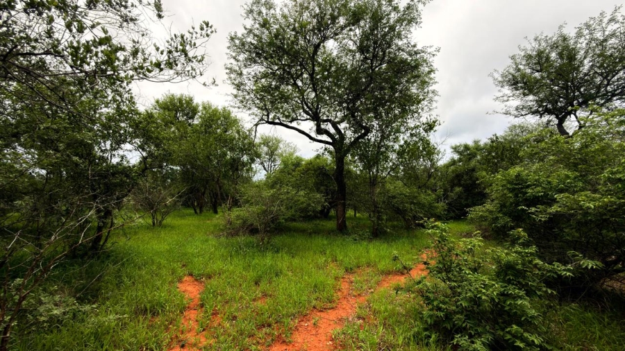 0 Bedroom Property for Sale in Hoedspruit Wildlife Estate Limpopo