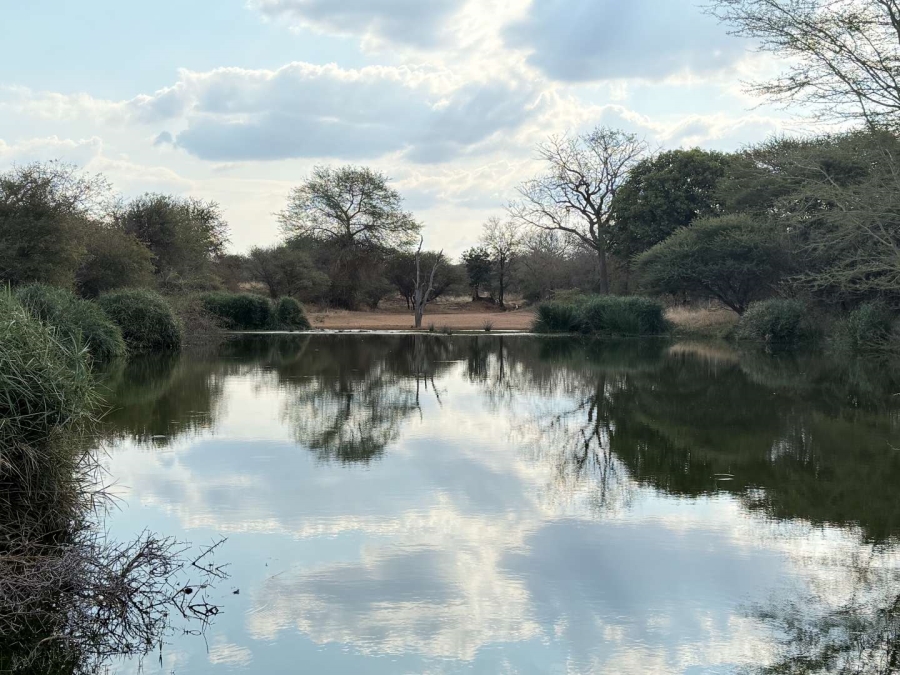 0 Bedroom Property for Sale in Hoedspruit Wildlife Estate Limpopo