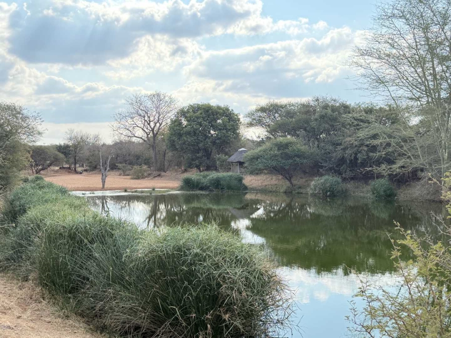0 Bedroom Property for Sale in Hoedspruit Wildlife Estate Limpopo