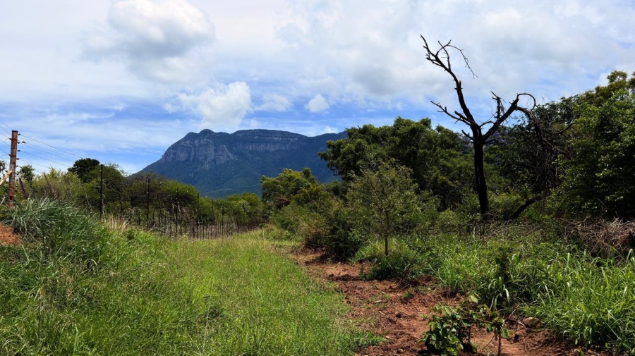 0 Bedroom Property for Sale in Kampersrus Limpopo