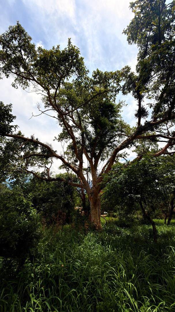 0 Bedroom Property for Sale in Kampersrus Limpopo