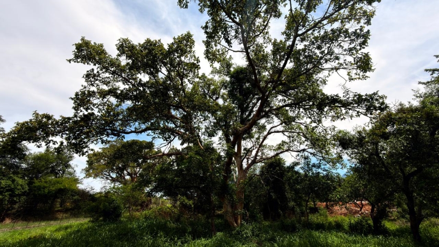 0 Bedroom Property for Sale in Kampersrus Limpopo