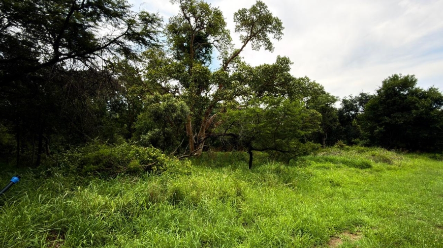 0 Bedroom Property for Sale in Kampersrus Limpopo