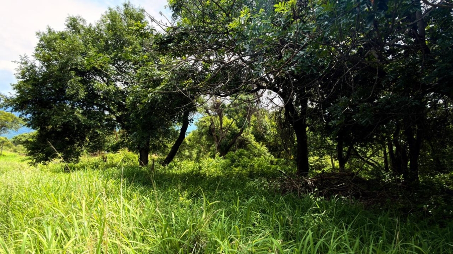 0 Bedroom Property for Sale in Kampersrus Limpopo