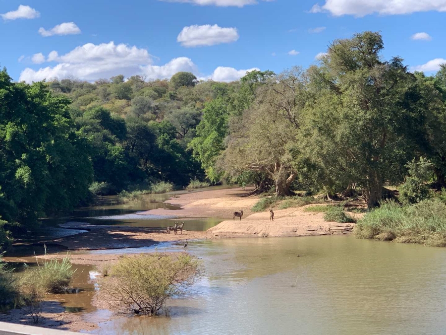 0 Bedroom Property for Sale in Elephant Rock Eco Estate Limpopo