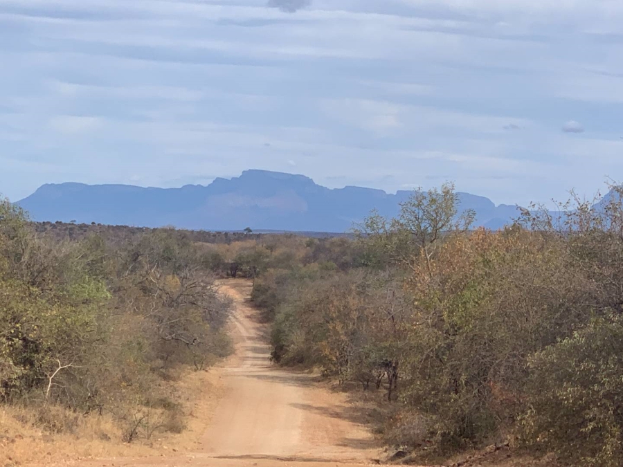 0 Bedroom Property for Sale in Elephant Rock Eco Estate Limpopo