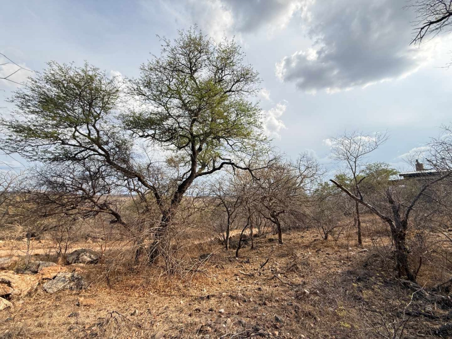 0 Bedroom Property for Sale in Elephant Rock Eco Estate Limpopo