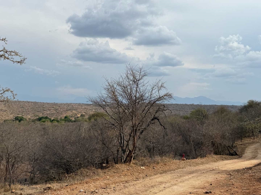 0 Bedroom Property for Sale in Elephant Rock Eco Estate Limpopo