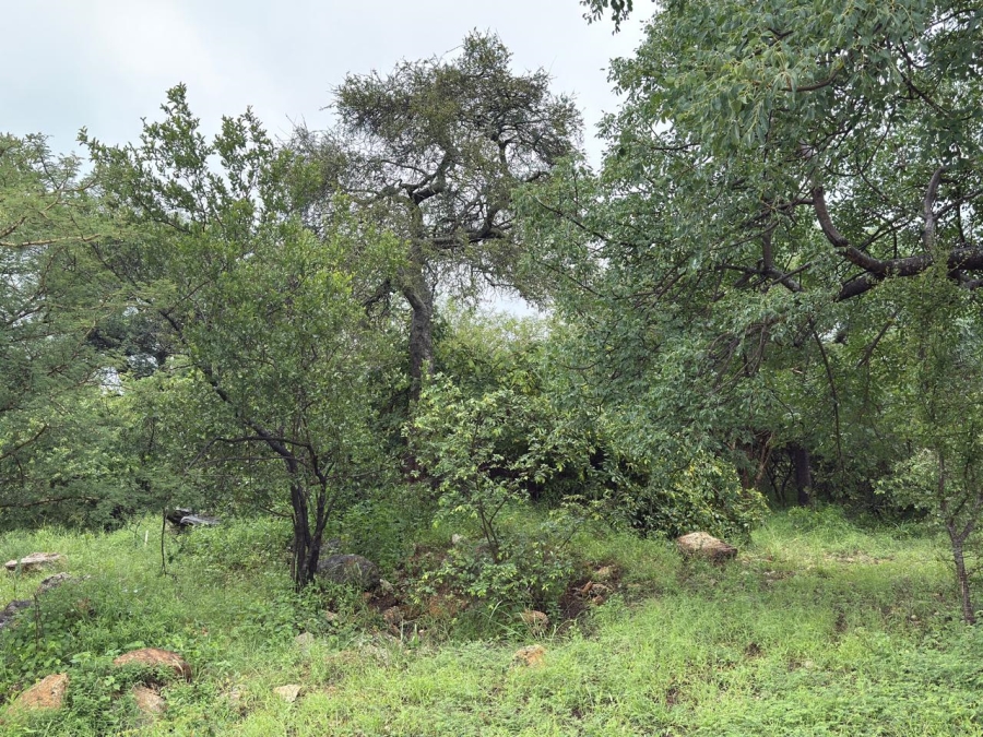 0 Bedroom Property for Sale in Elephant Rock Eco Estate Limpopo