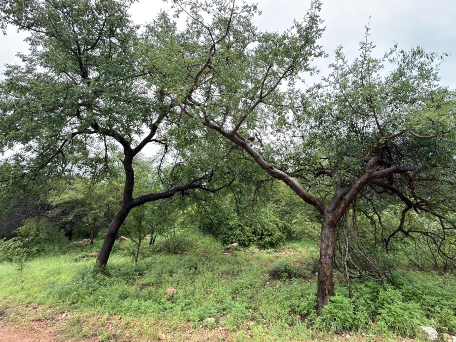 0 Bedroom Property for Sale in Elephant Rock Eco Estate Limpopo