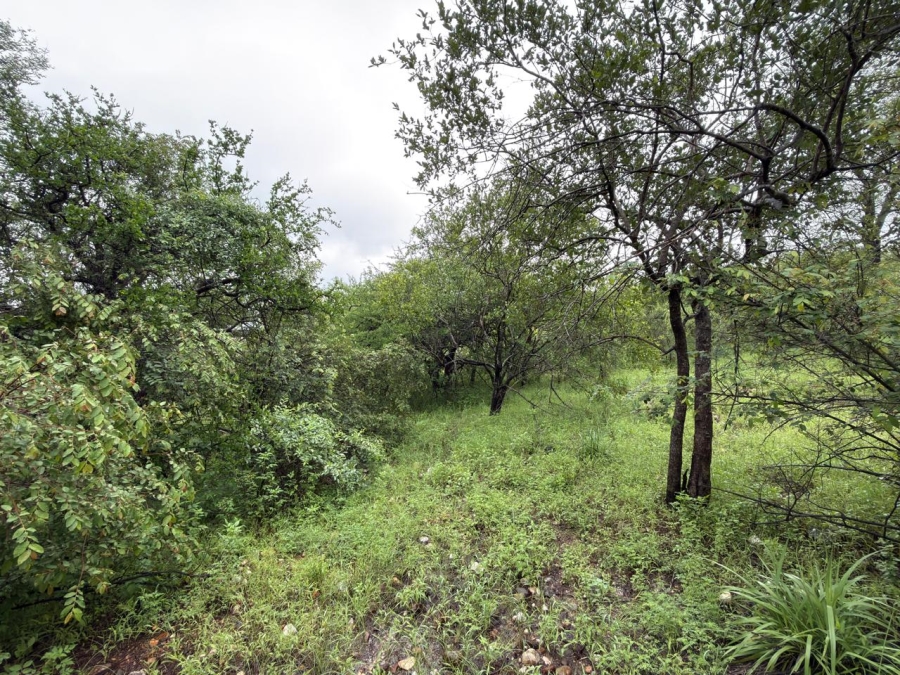 0 Bedroom Property for Sale in Elephant Rock Eco Estate Limpopo