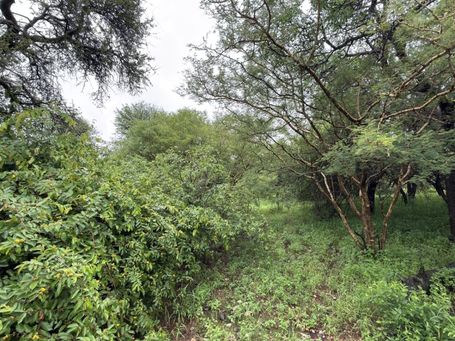 0 Bedroom Property for Sale in Elephant Rock Eco Estate Limpopo