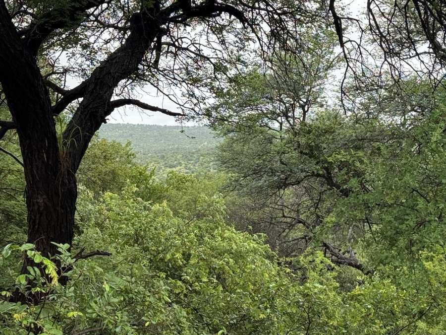 0 Bedroom Property for Sale in Elephant Rock Eco Estate Limpopo