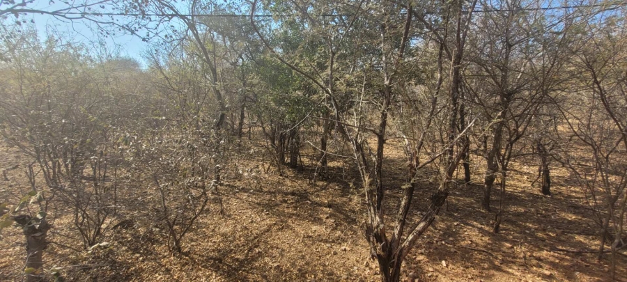 3 Bedroom Property for Sale in Leeupoort Limpopo