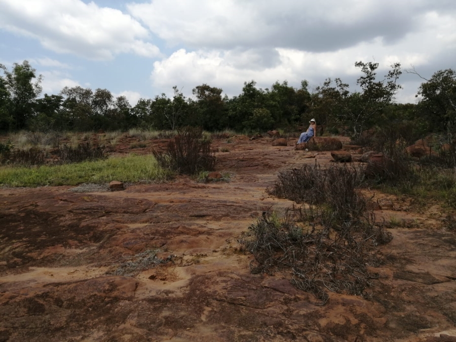 0 Bedroom Property for Sale in Limpopodraai Limpopo