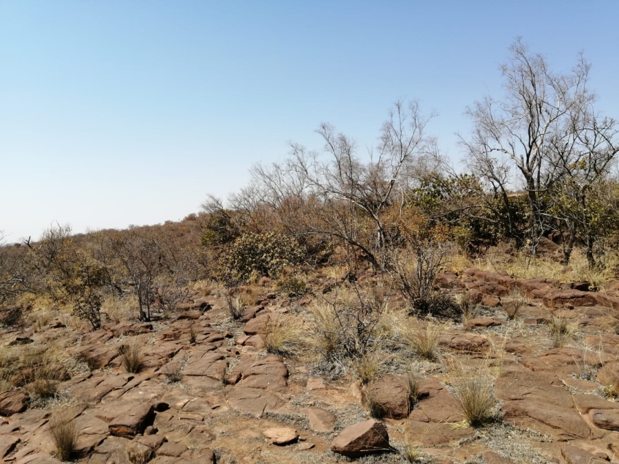 0 Bedroom Property for Sale in Limpopodraai Limpopo