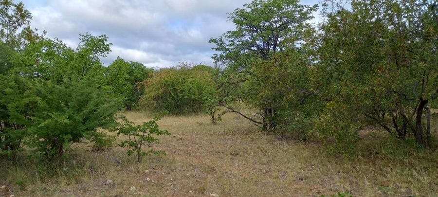0 Bedroom Property for Sale in Musina Limpopo