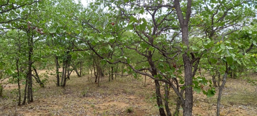 0 Bedroom Property for Sale in Musina Limpopo