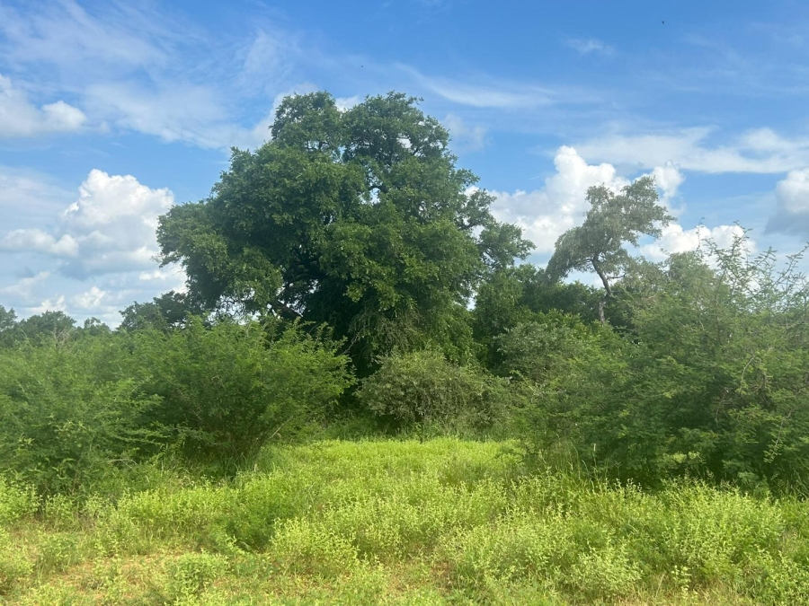 0 Bedroom Property for Sale in Elephant Rock Eco Estate Limpopo