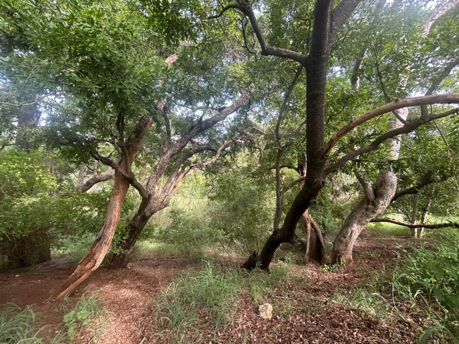 0 Bedroom Property for Sale in Elephant Rock Eco Estate Limpopo