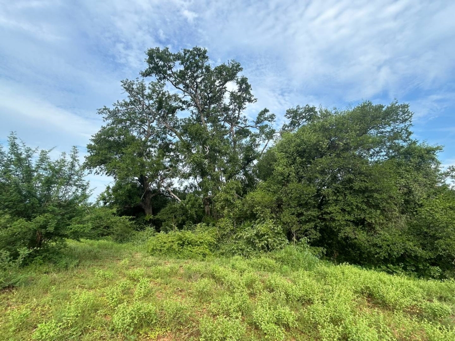 0 Bedroom Property for Sale in Elephant Rock Eco Estate Limpopo