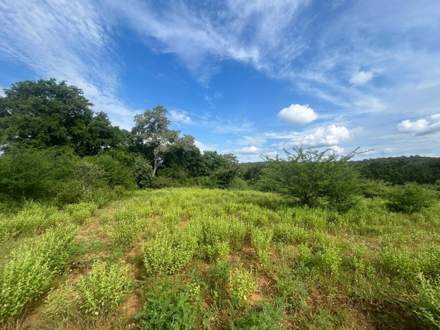 0 Bedroom Property for Sale in Elephant Rock Eco Estate Limpopo