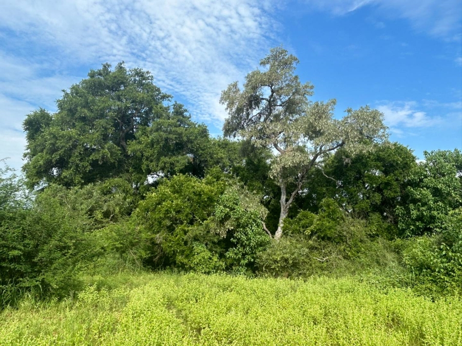 0 Bedroom Property for Sale in Elephant Rock Eco Estate Limpopo