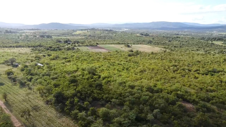 5 Bedroom Property for Sale in Letsitele Limpopo