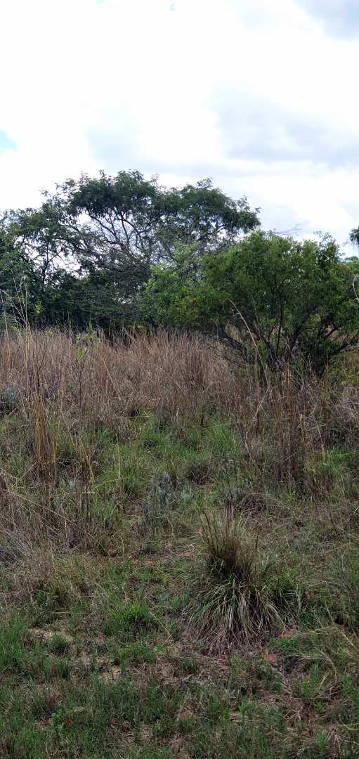 0 Bedroom Property for Sale in Koro Creek Golf Estate Limpopo