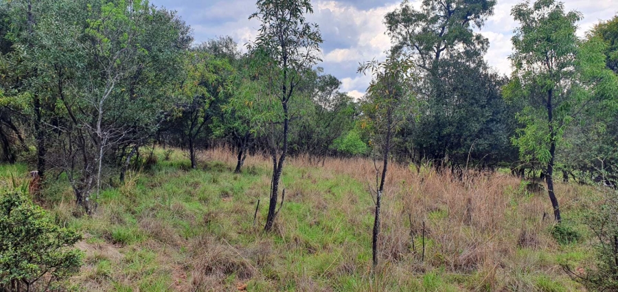 0 Bedroom Property for Sale in Koro Creek Golf Estate Limpopo